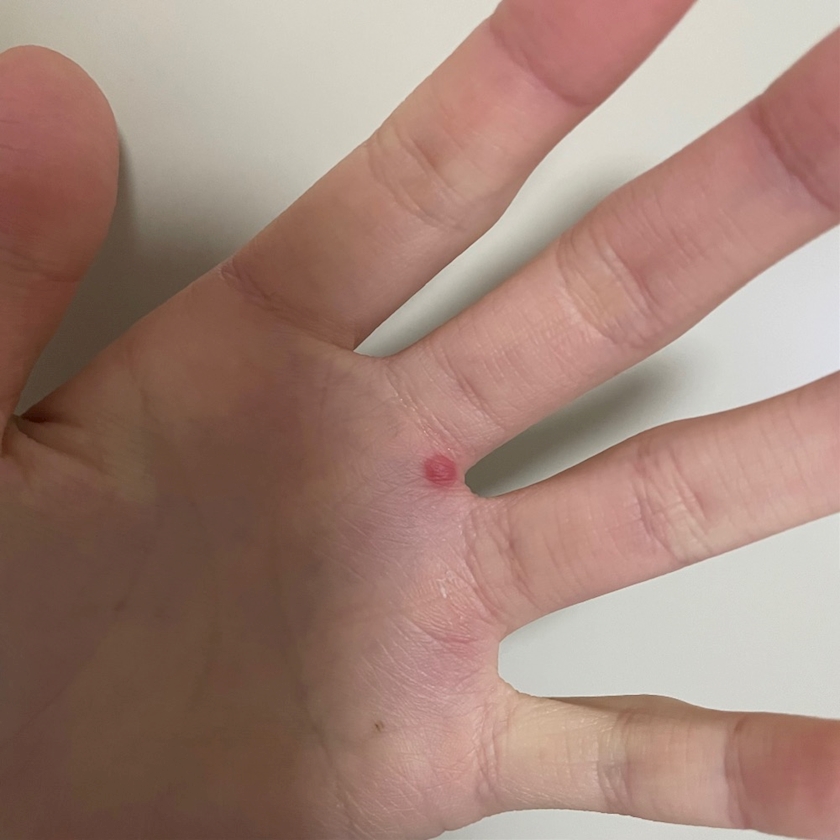 一見踊ってるように見えて酸素を作っています