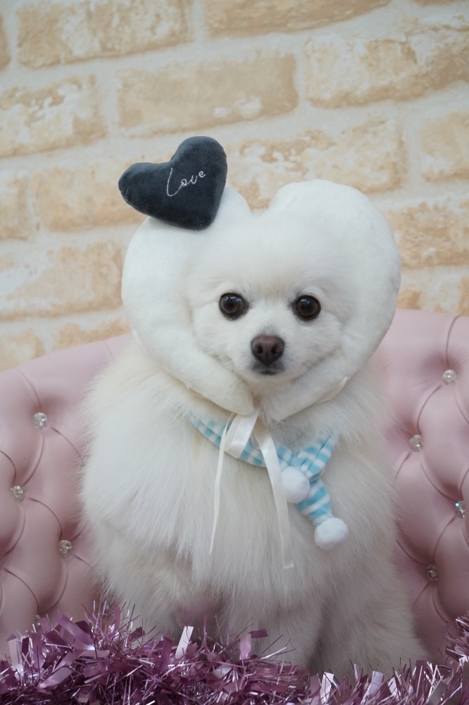 ママ七瀬　あや