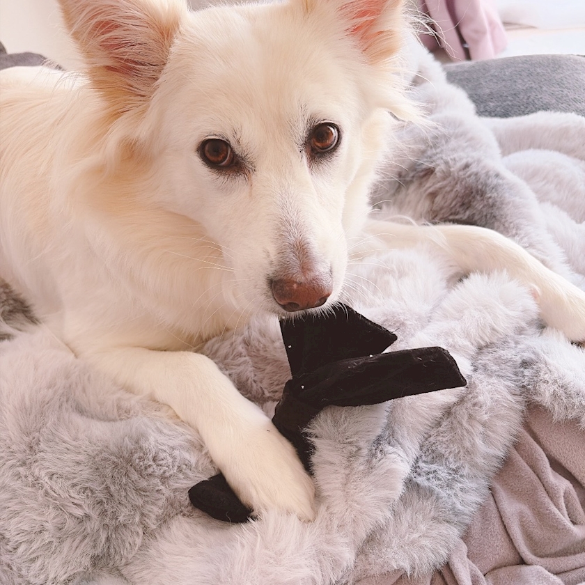 クラブグリム・小牧店日記1629389