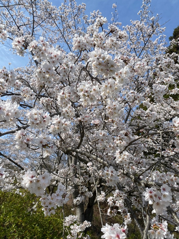Lounge L’Atelier日記1631646