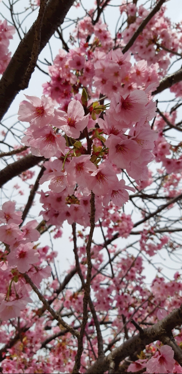 LOUNGE オースリー日記1628941