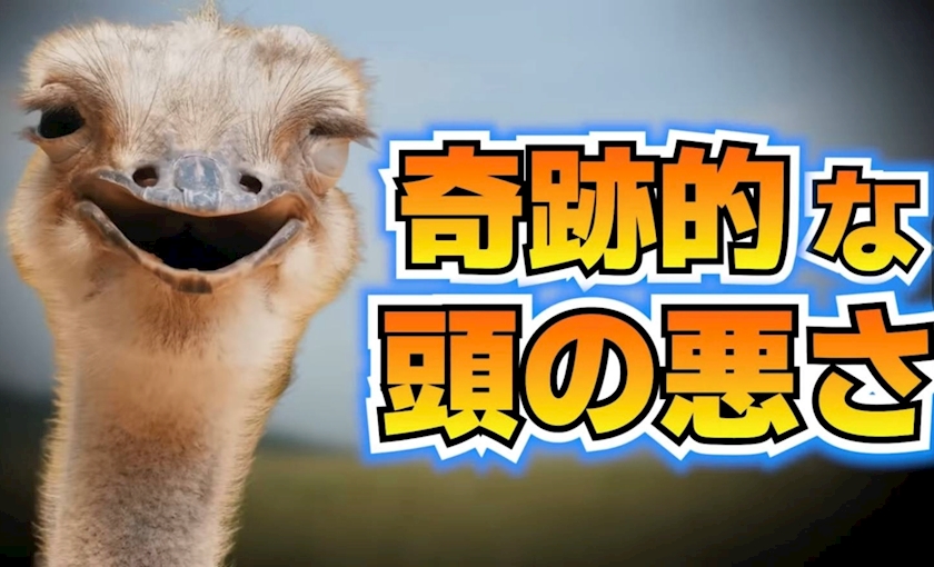 CLUB HANAN ANJO日記1615945