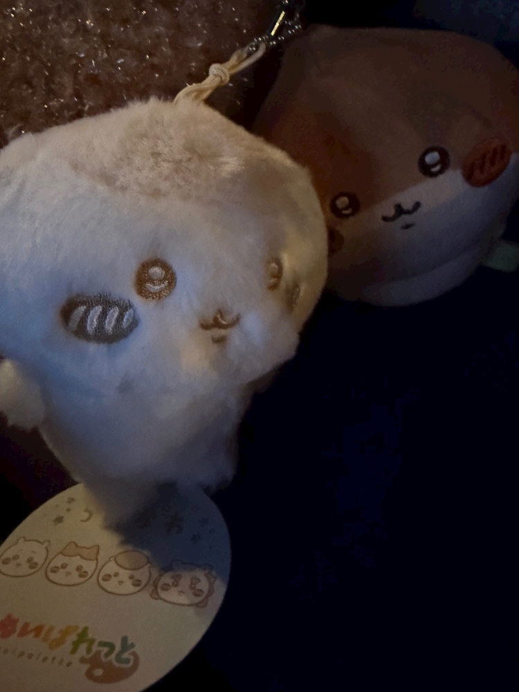 ThePARIS日記1581932