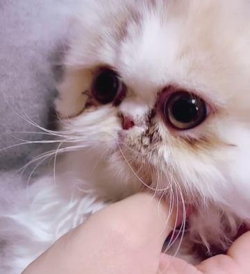 かわいー💕 新しい家族の･･･