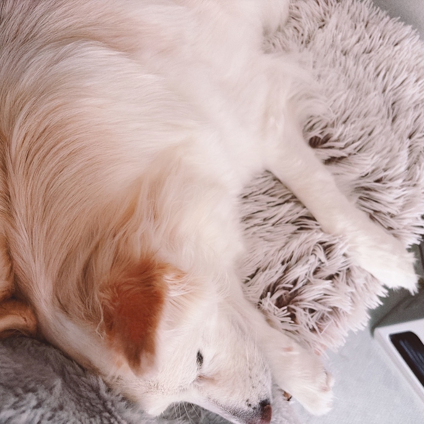 クラブグリム・小牧店日記1629337