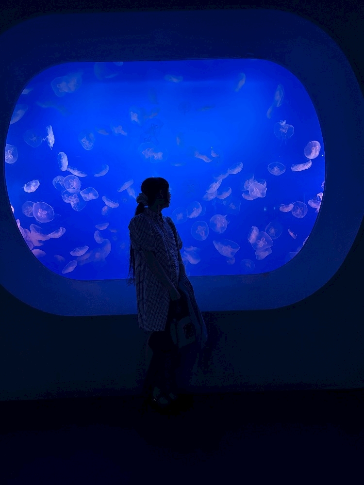 Vivienne日記1520667