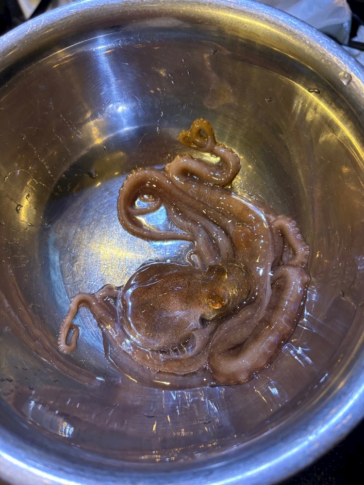 西船橋 VELLUGUE日記1522776