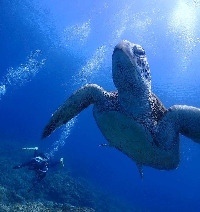 西船橋 VELLUGUE日記1512729