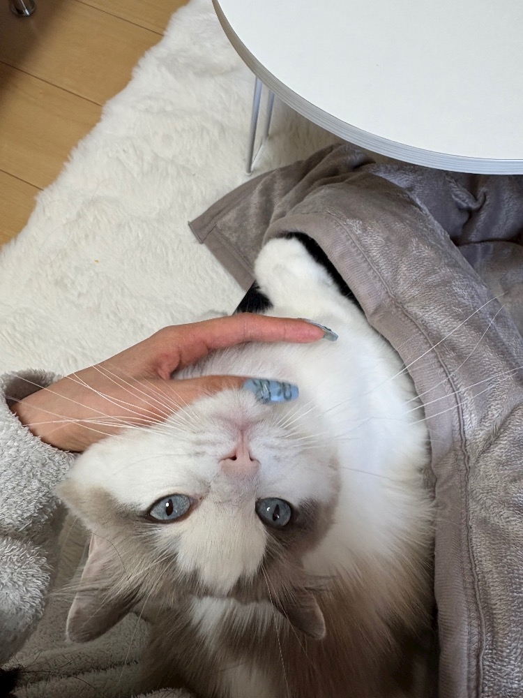 クラブグリム・浜松千歳店日記1577045