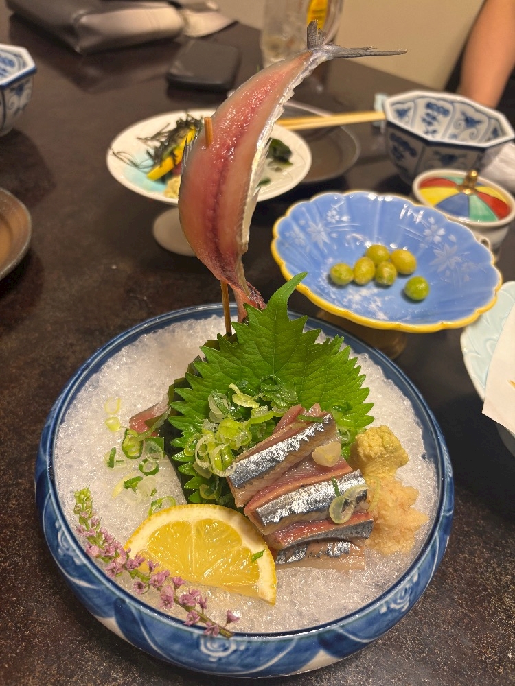 一条 葵
