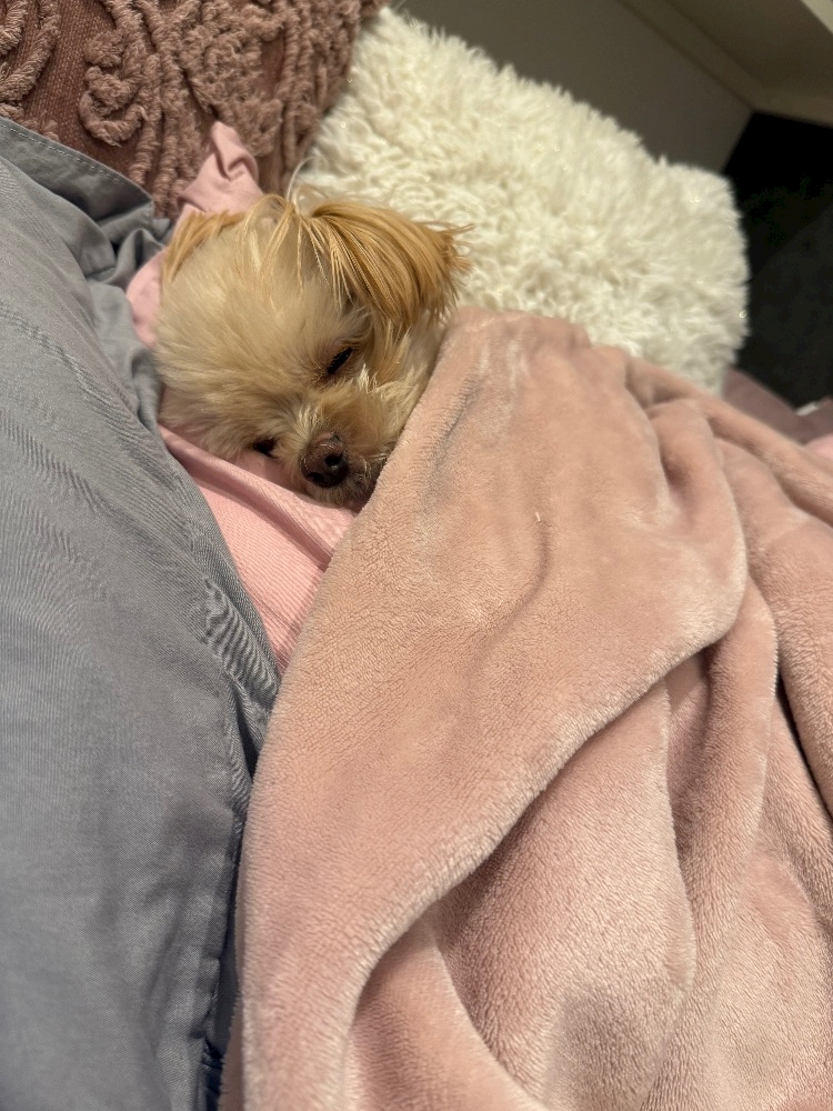 brand new.日記1540619