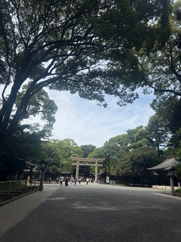 おかえりなさい日記1748381