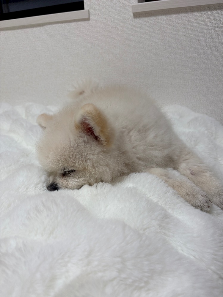 Club Twelve日記1580151