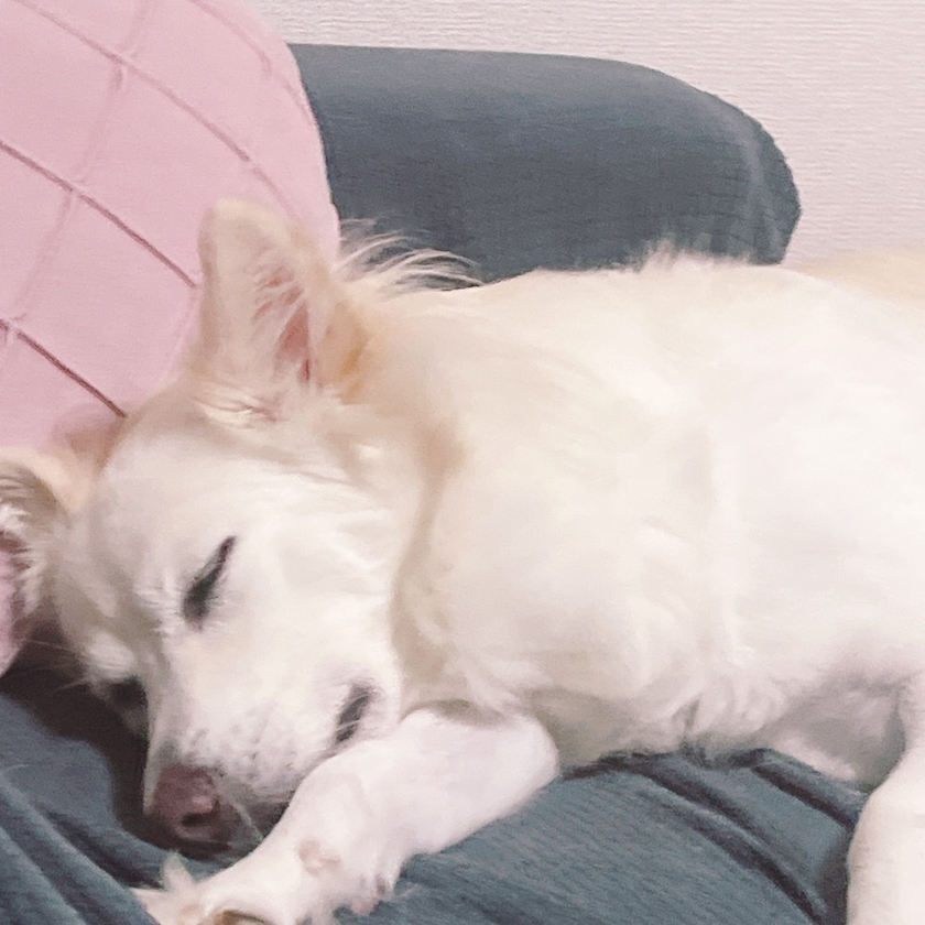 クラブグリム・小牧店日記1513230