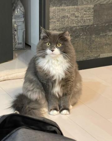 . . . このケモノ。･･･