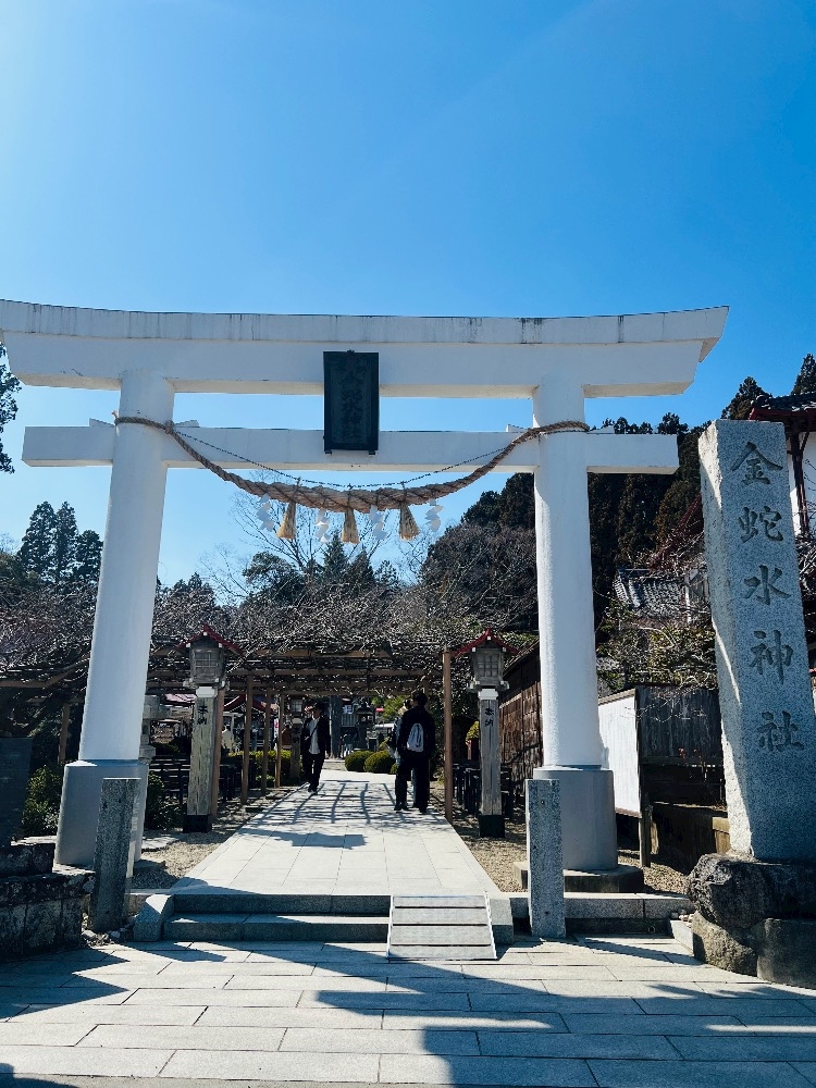 ガールズカフェ orange日記1615967