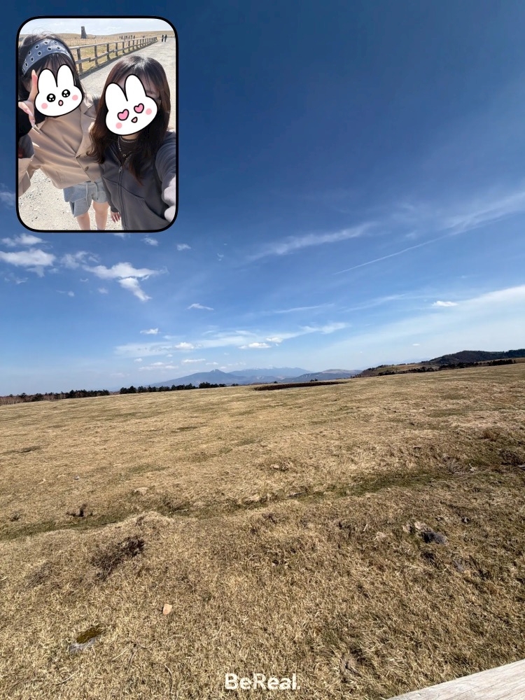 一条 葵