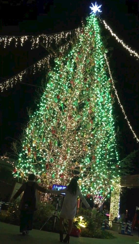 Lounge L’Atelier日記1551847