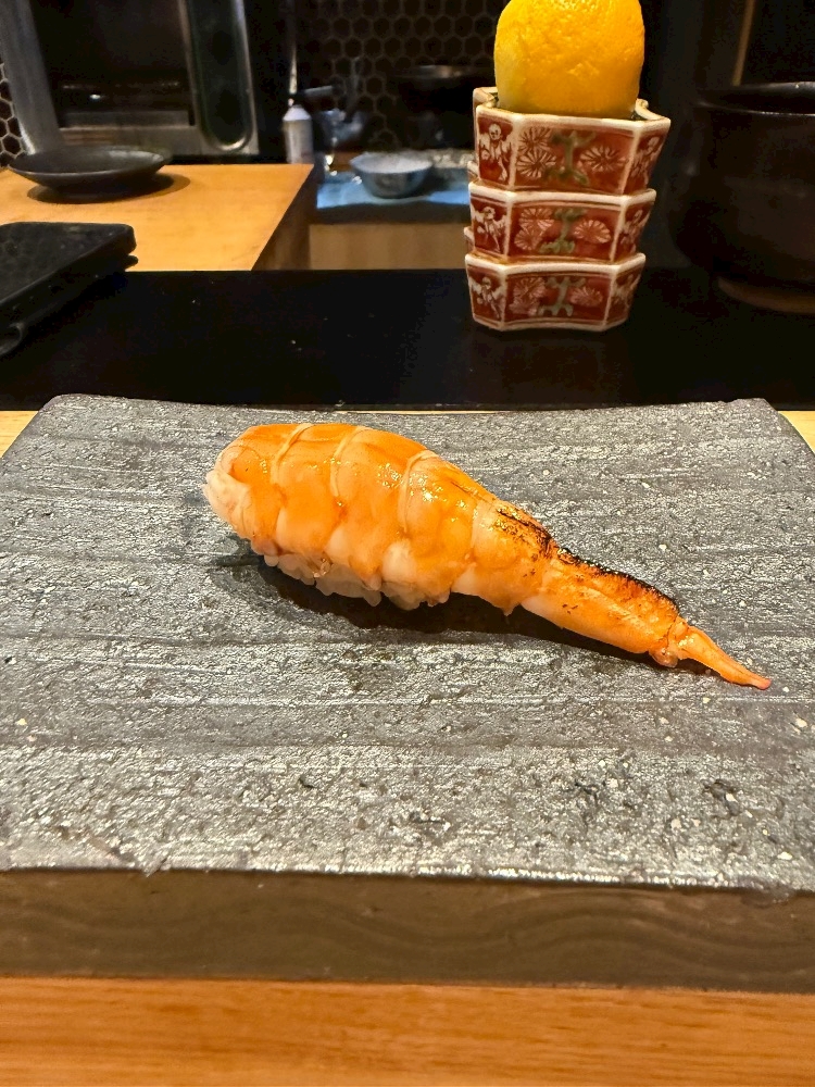 クラブカゲロウ・錦日記1535515