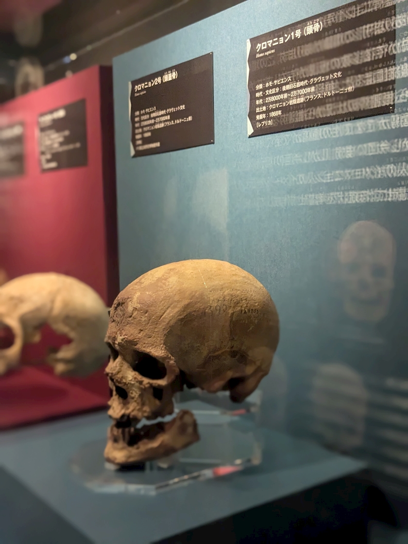 コンセプトカフェYOZYA日記1511132