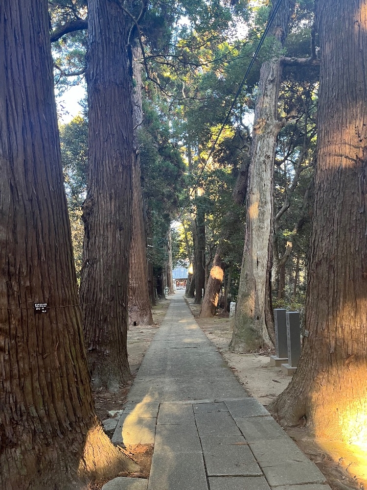 西船橋 VELLUGUE日記1560290