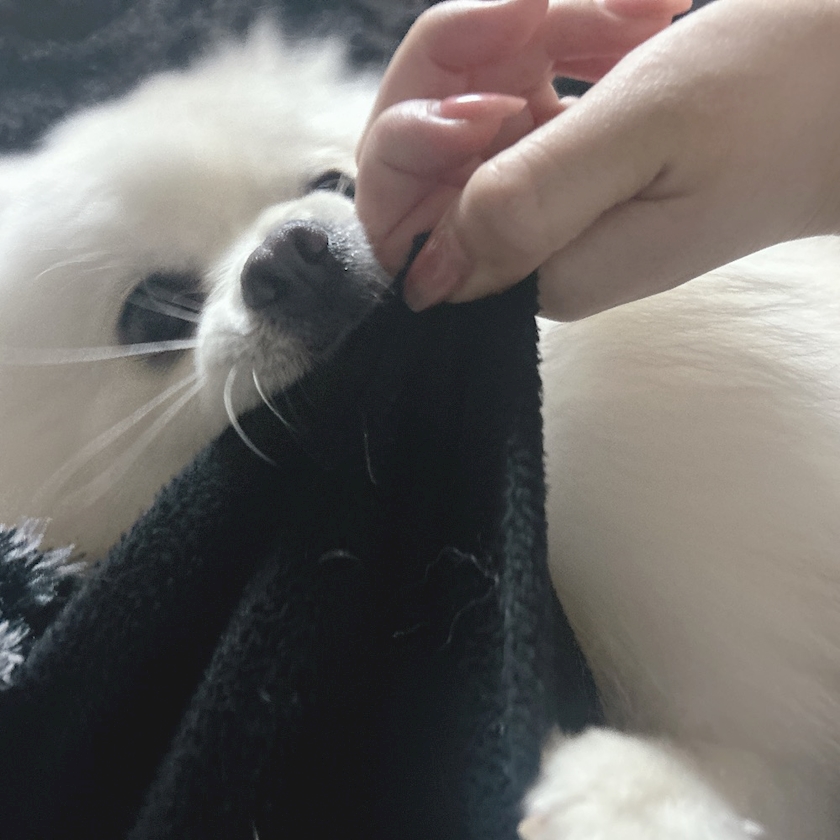 ママ七瀬　あや