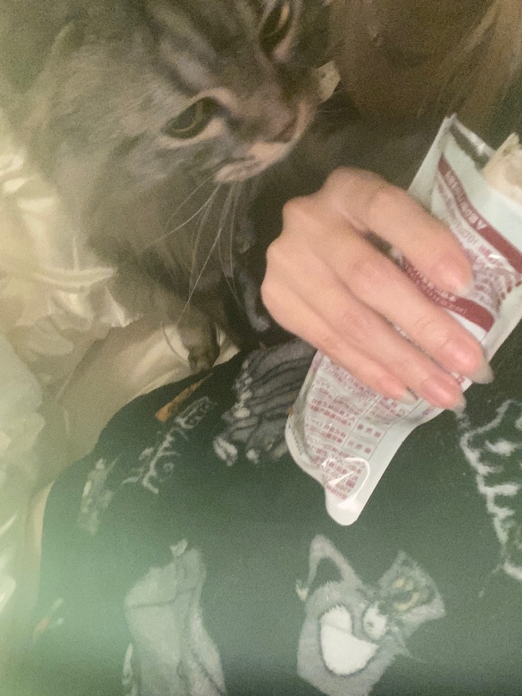 CLUB CARA (朝)日記1031882