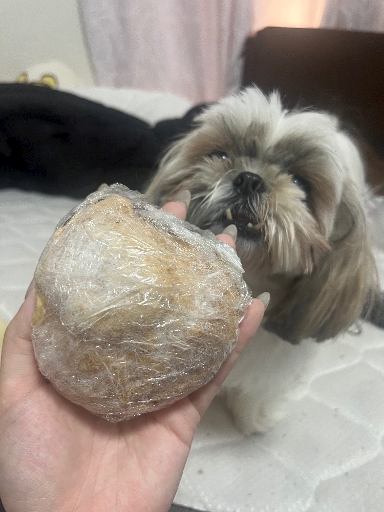 CLUB ONE CHAN -ミナミ心斎橋店-日記1628471