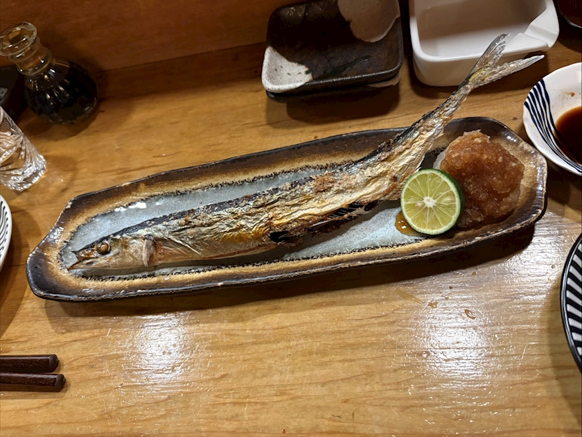 一条 葵