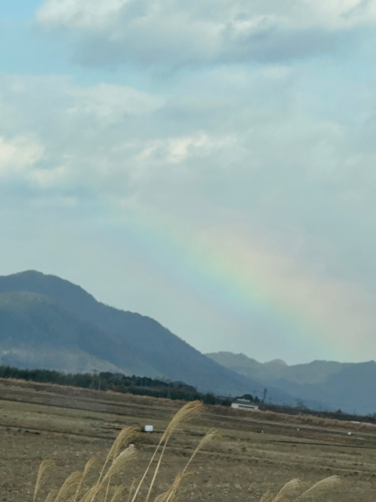 Bar Lounge 莉音　彦根駅前店日記1606053