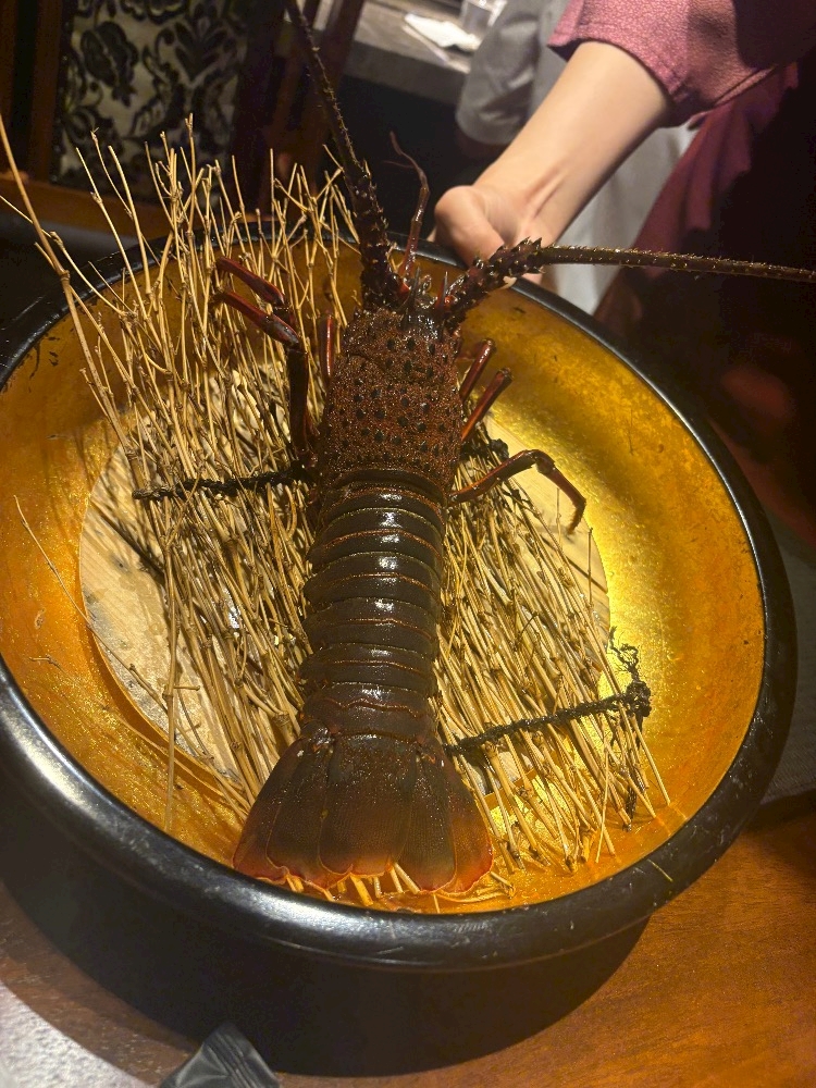 一条 葵
