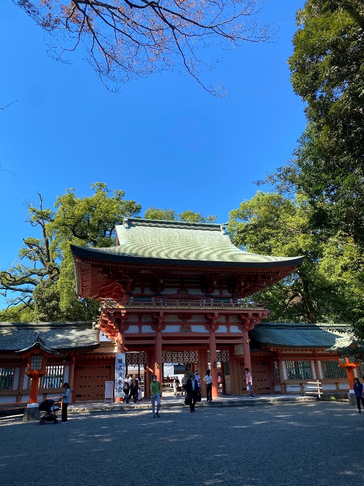一条 葵