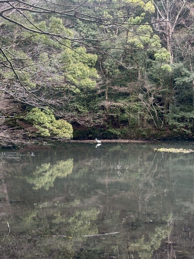 クラブグリム・浜松千歳店日記1608562