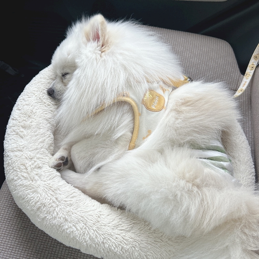 ママ七瀬　あや