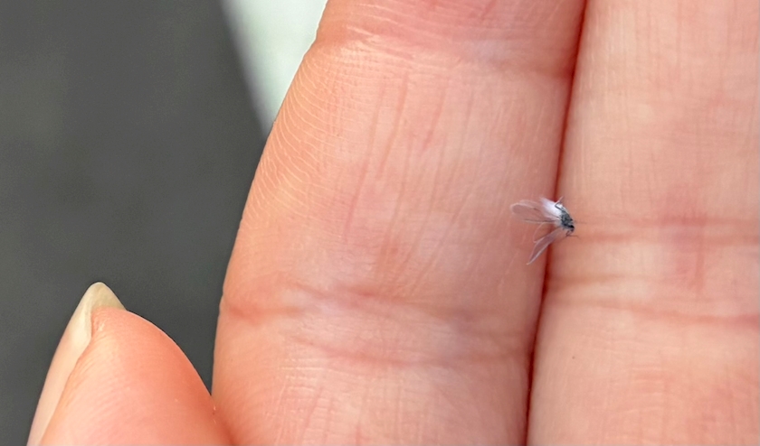 club MARVELOUS日記1538511