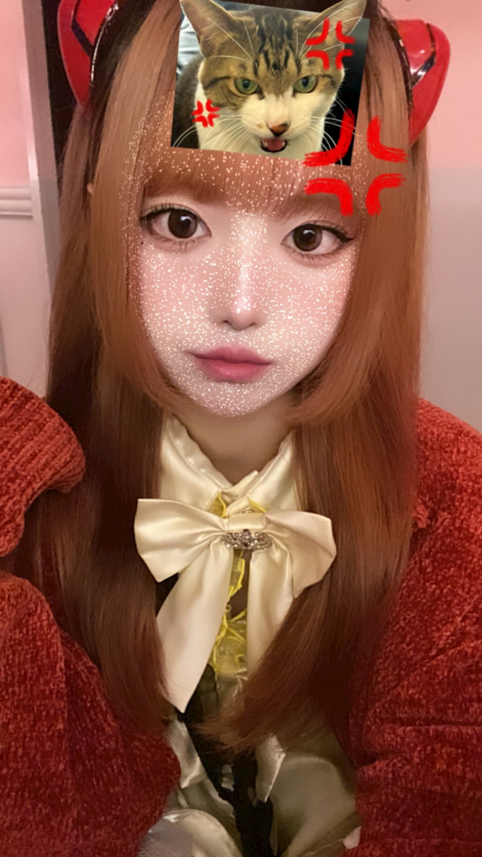 一条 葵