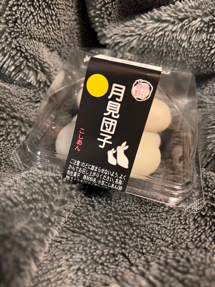一条 葵