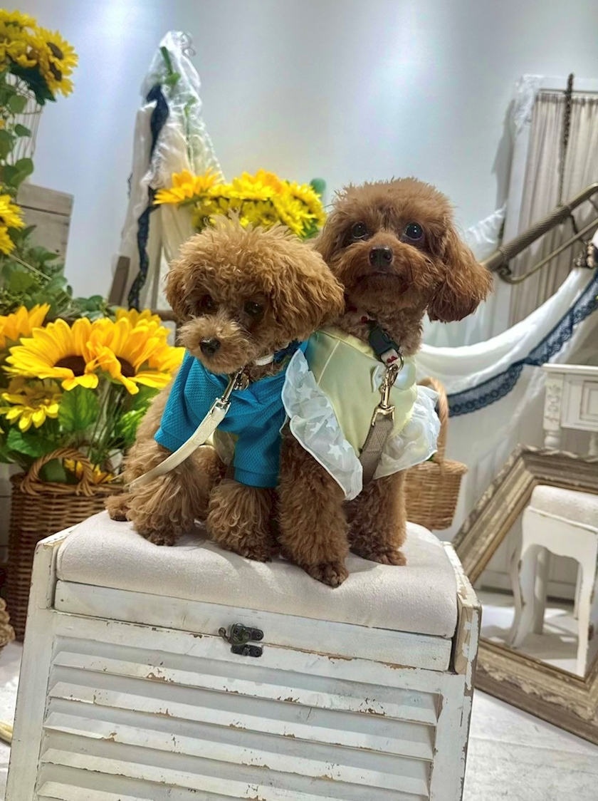 じゅりあさん𝐇𝐀𝐏𝐏𝐘 𝐁𝐈𝐑𝐓𝐇𝐃𝐀𝐘 🥂🤍