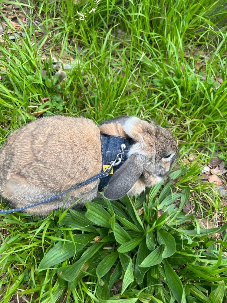 CLUB ONE CHAN -ミナミ宗右衛門町店-日記1629779