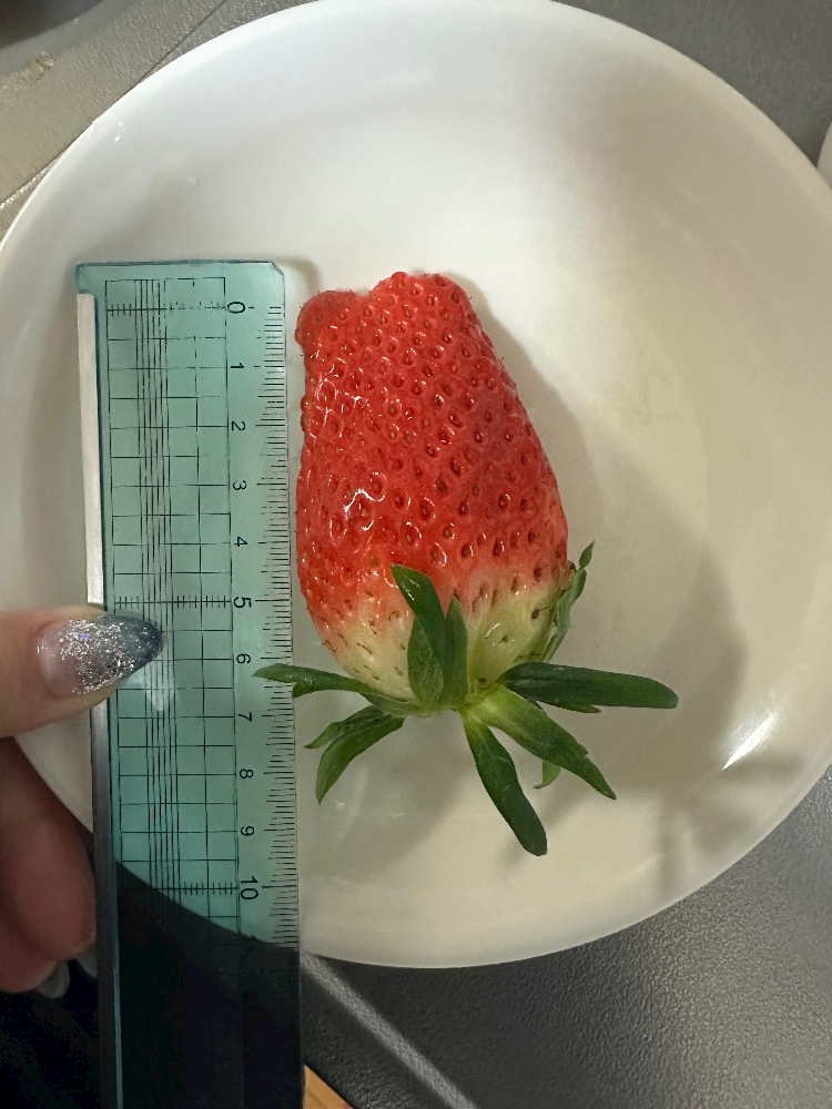 Lounge L’Atelier日記1588018