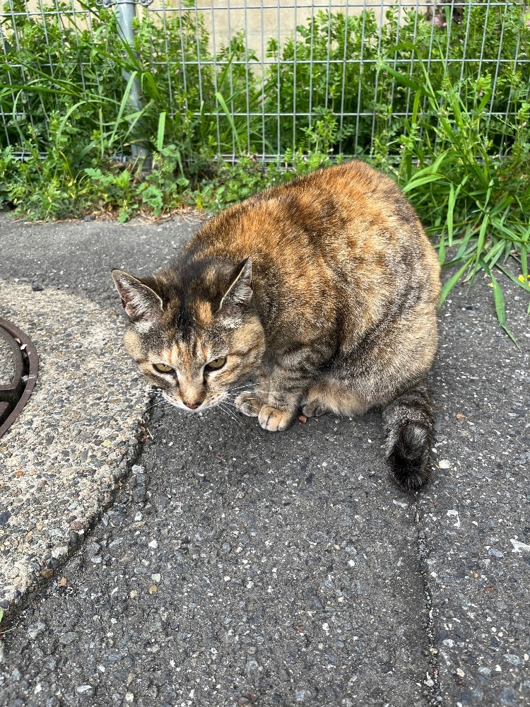 club MARVELOUS日記1626772