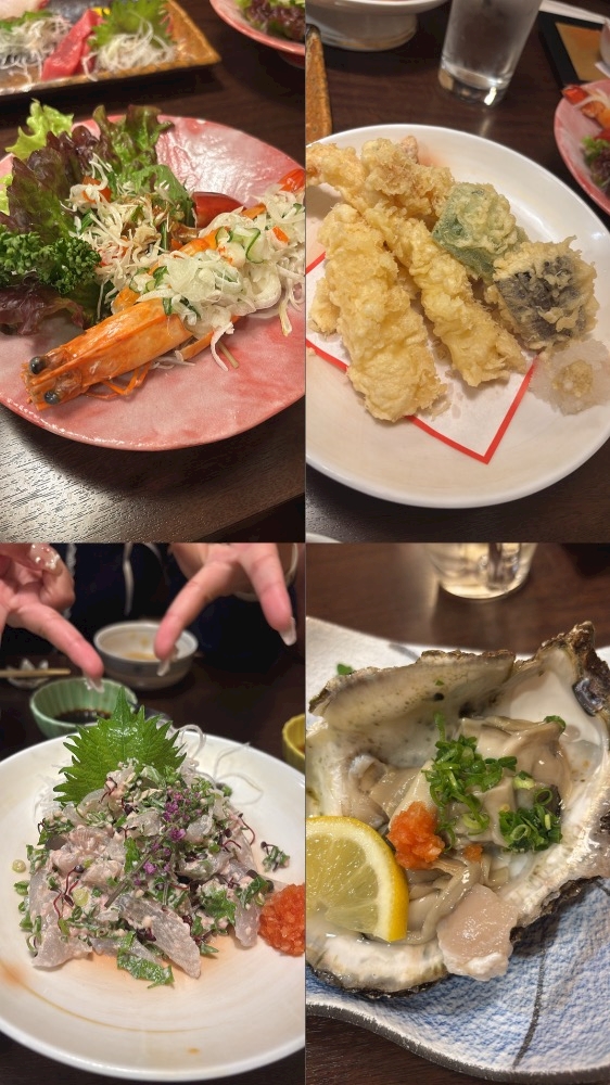 一条 葵