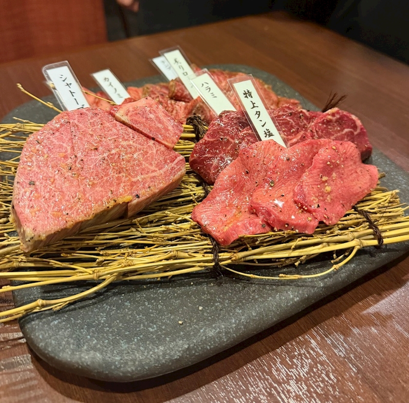 一条 葵