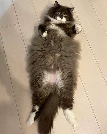 . . . もふっっっ ･･･