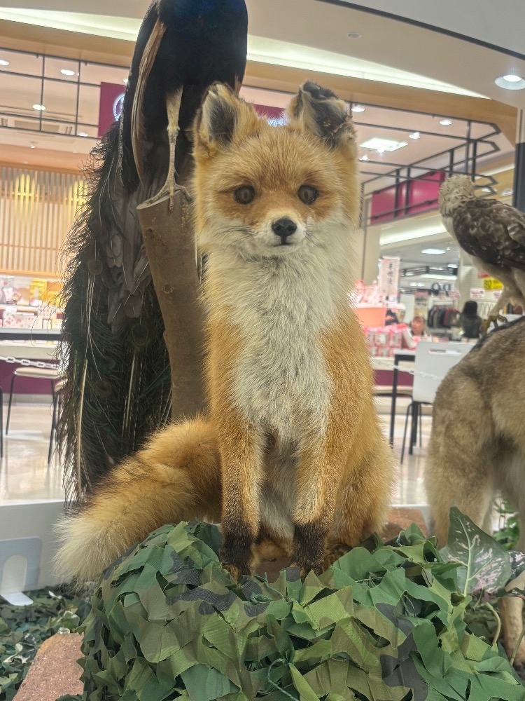 Lounge L’Atelier日記1622329