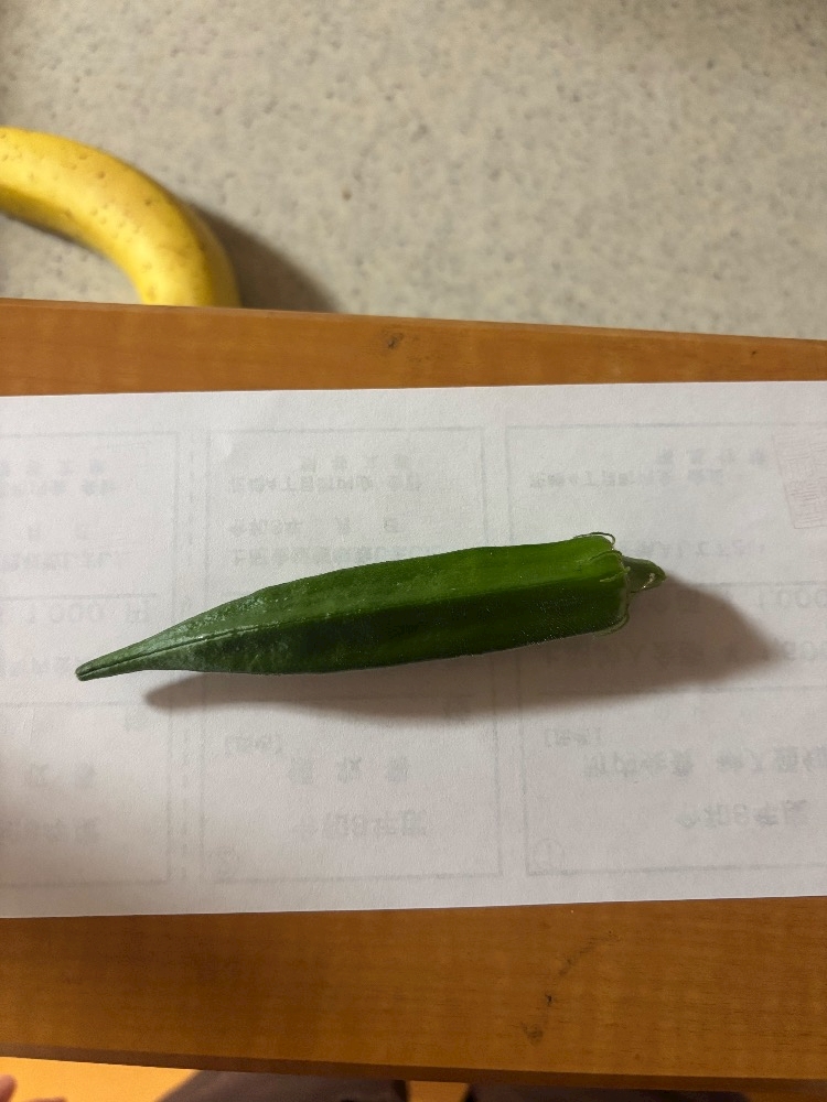 一条 葵