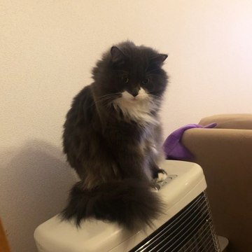 . . こんな顔されたら･･･