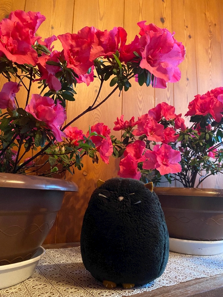 CLUB ONE CHAN -ミナミ宗右衛門町店-日記1629240