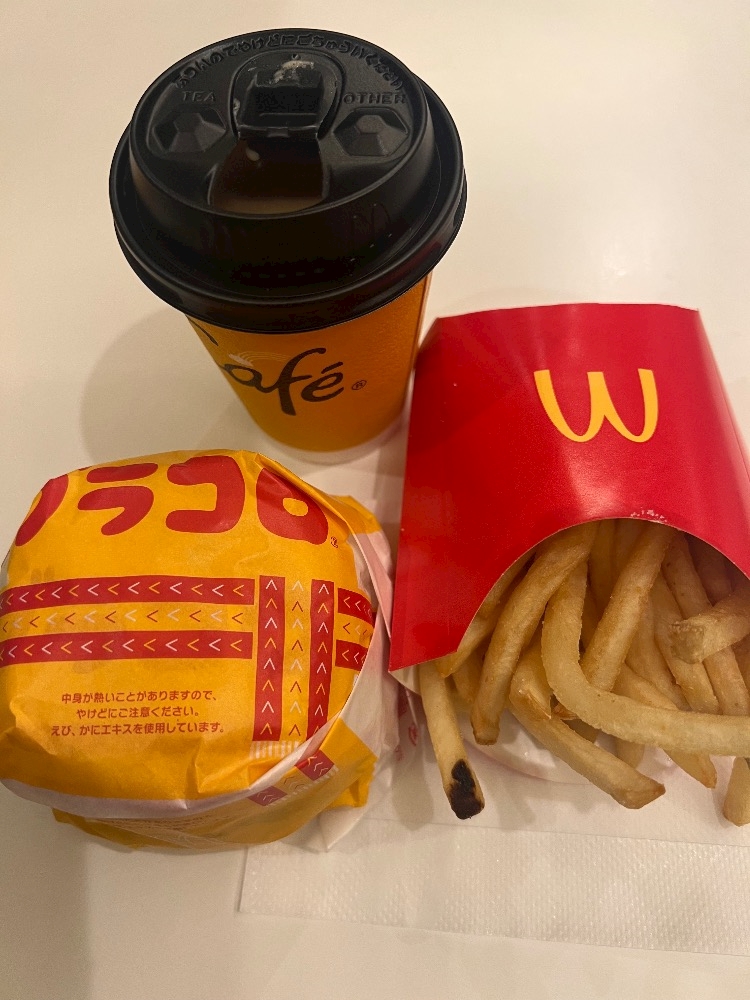 おかえりなさい日記1541283