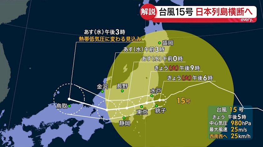 一条 葵